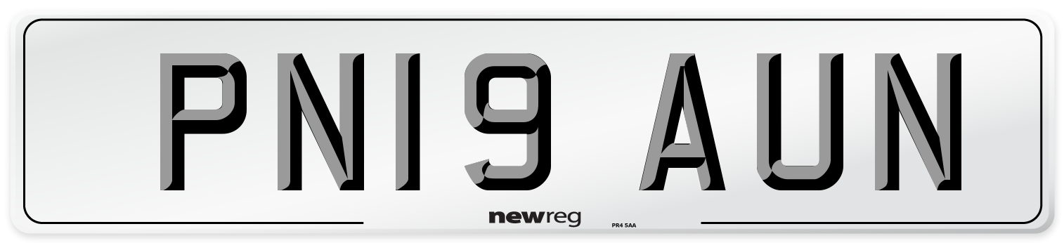 PN19 AUN Number Plate from New Reg